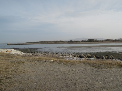 e0166016_21324320.jpg