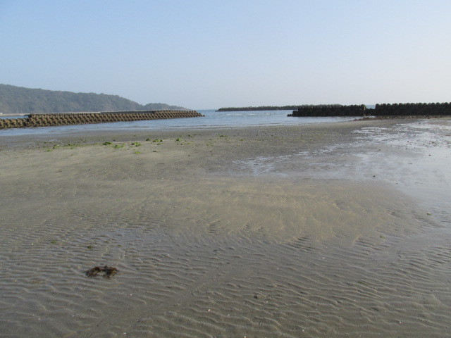 f0341616_06200892.jpg