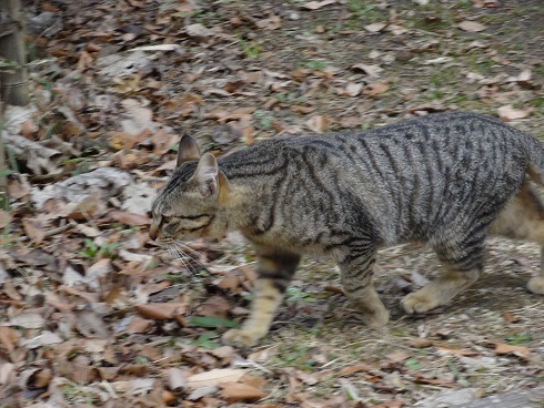 f0000521_20115699.jpg