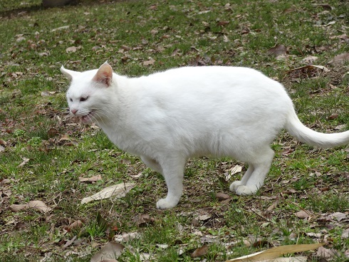 f0000521_20124133.jpg