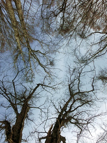 b0279527_14260067.jpg