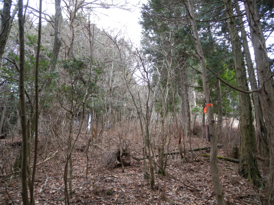 e0272335_20141229.jpg