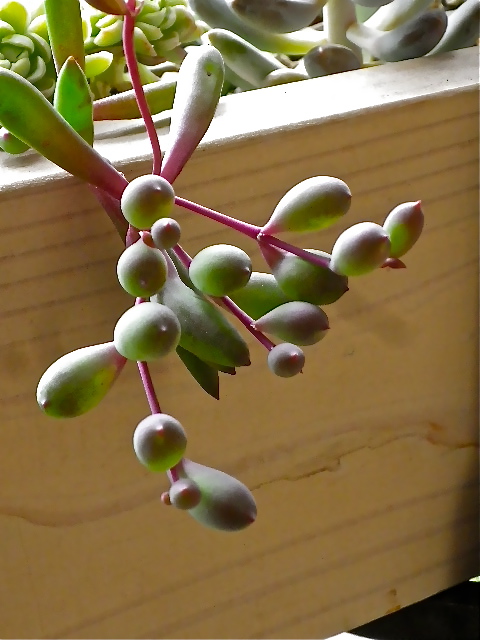b0027736_12273397.jpg