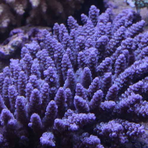 d0221436_23401795.jpg