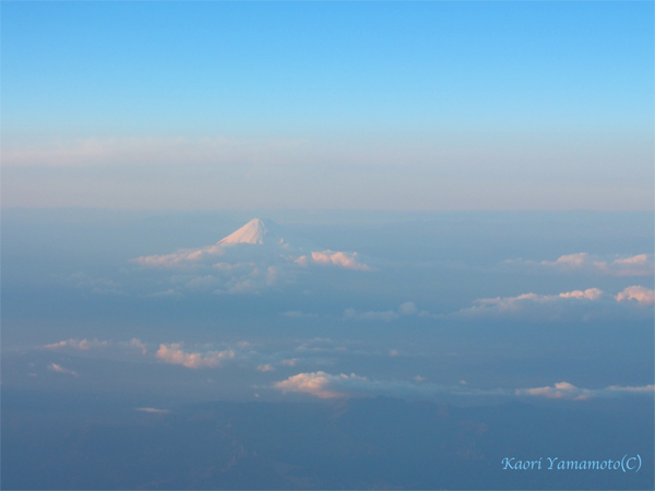 a0095337_14551992.jpg