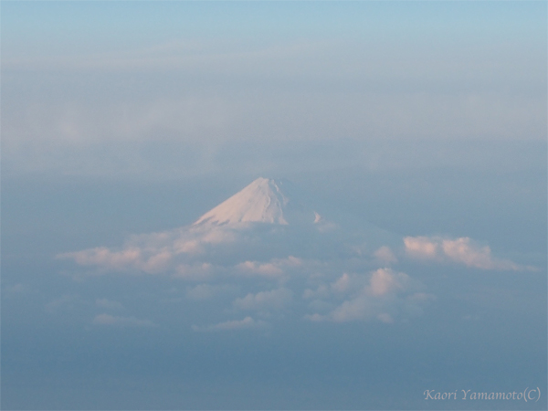 a0095337_14562285.jpg