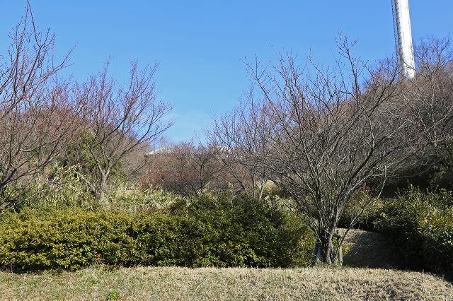 a0242438_20233464.jpg