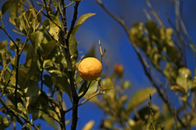 a0242438_20245817.jpg