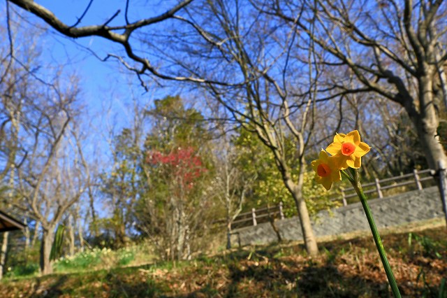 a0242438_2027022.jpg