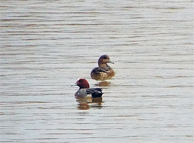 f0214649_4115699.jpg