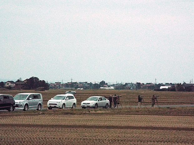 f0214649_4384570.jpg