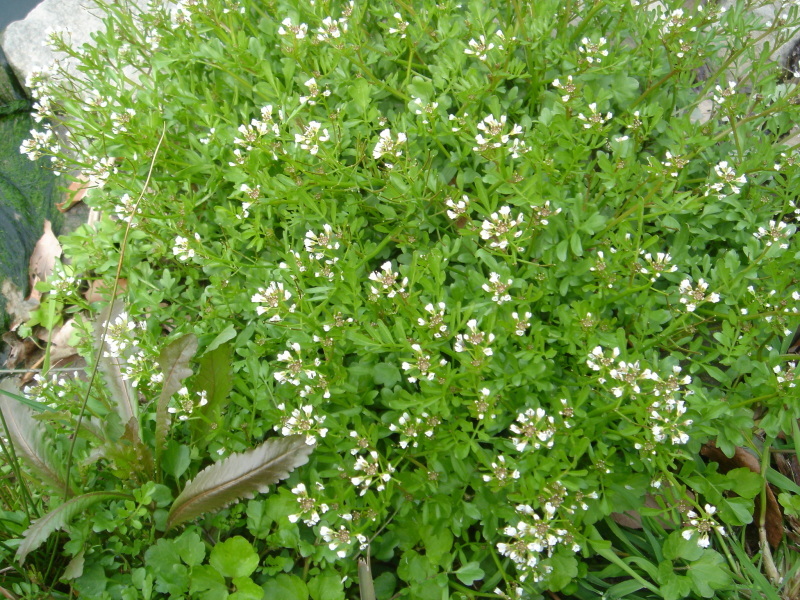 c0108460_23384391.jpg