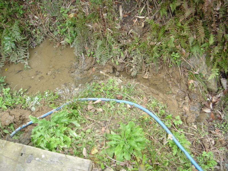 c0108460_23445247.jpg