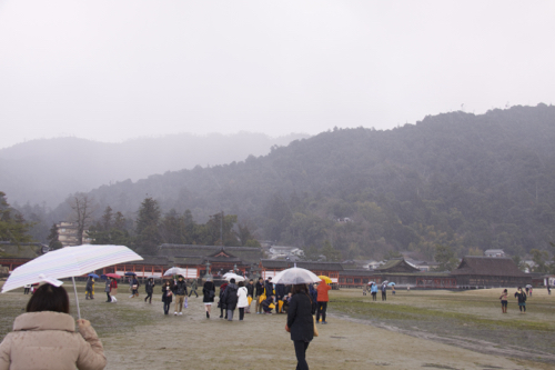 b0286869_1124236.jpg