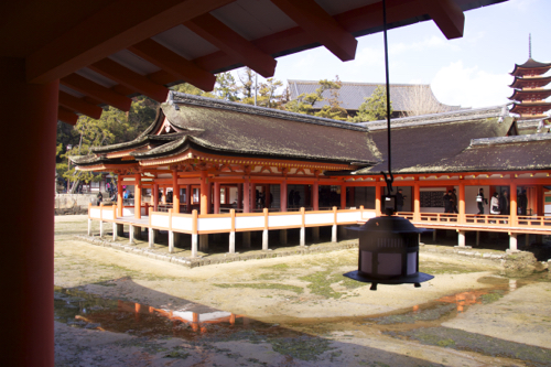 b0286869_1132277.jpg