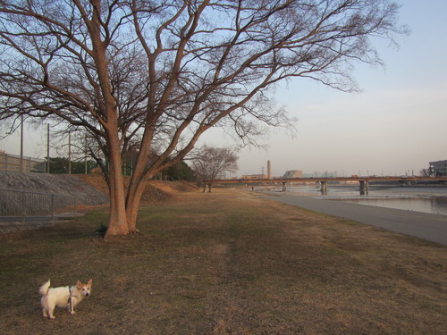 a0251786_2222987.jpg