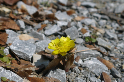 f0353990_16512947.jpg