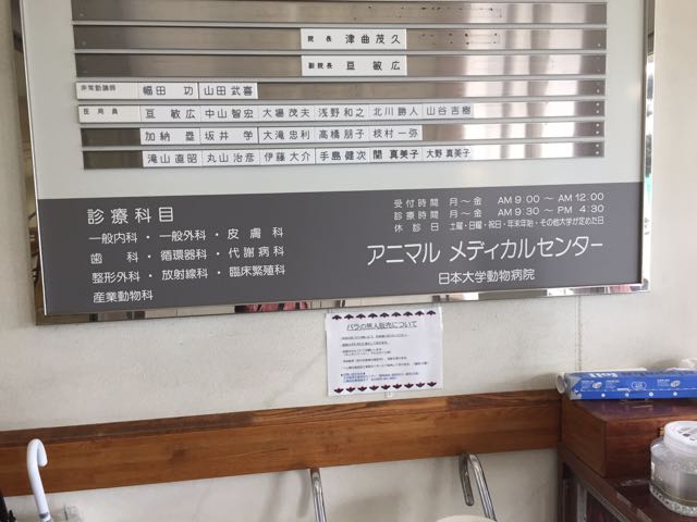 f0130894_22232456.jpg