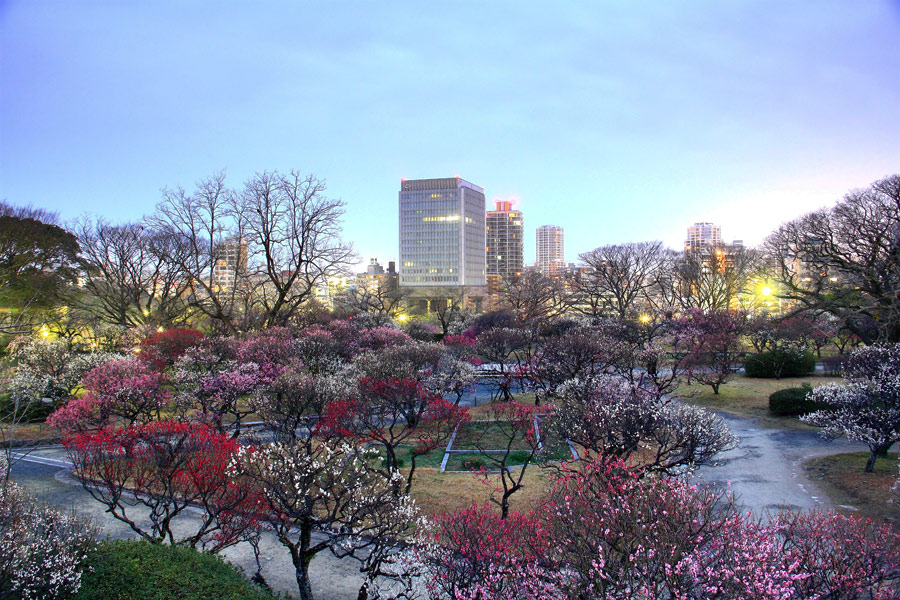 e0093903_21133057.jpg
