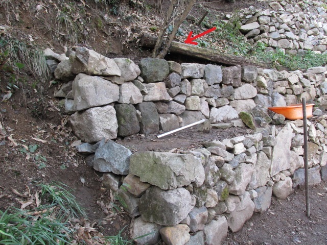 f0341616_05561663.jpg