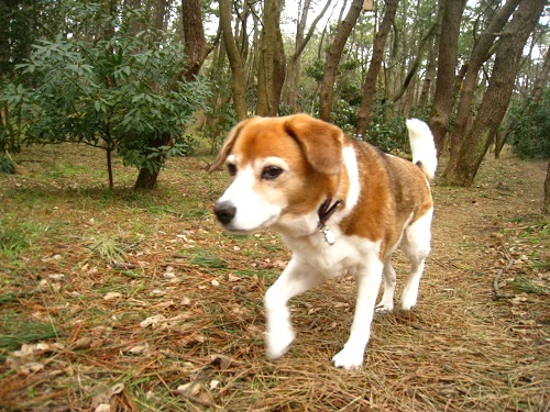 c0084117_2034281.jpg