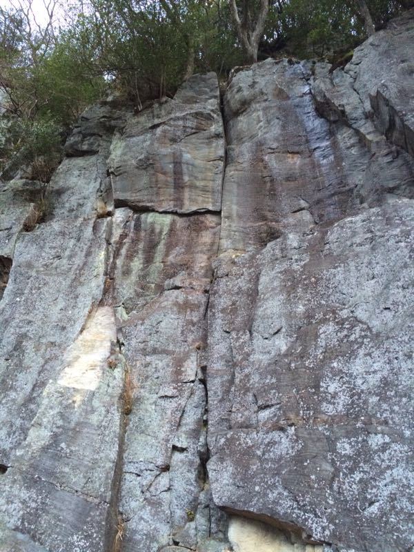 c0210618_2165931.jpg