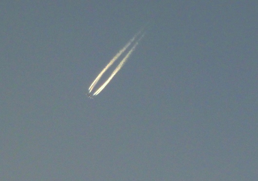 b0209919_22505728.jpg