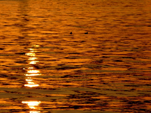 b0209919_22514612.jpg