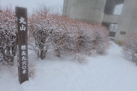 b0281732_939362.jpg
