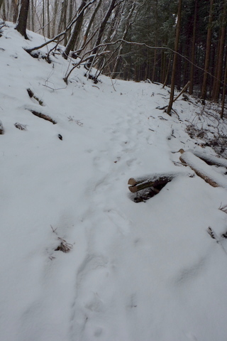b0281732_9404399.jpg