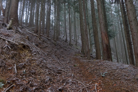 b0281732_941109.jpg