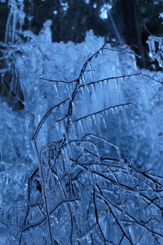 b0281732_952082.jpg