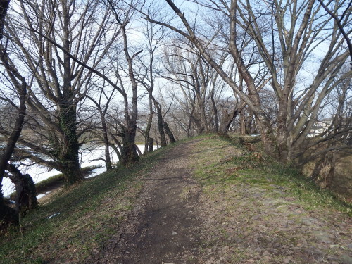 f0118332_01103466.jpg