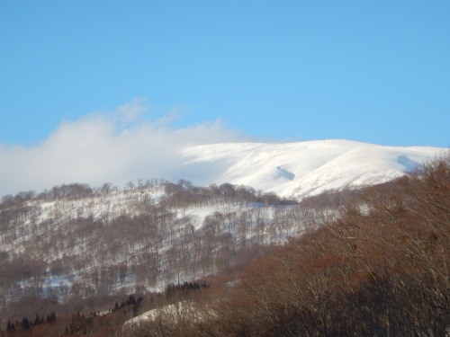 f0118332_23171485.jpg
