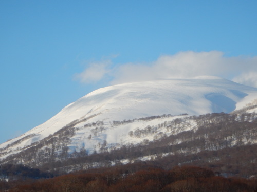 f0118332_23172628.jpg