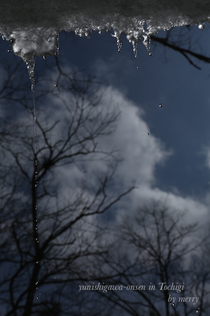 a0207736_0111059.jpg