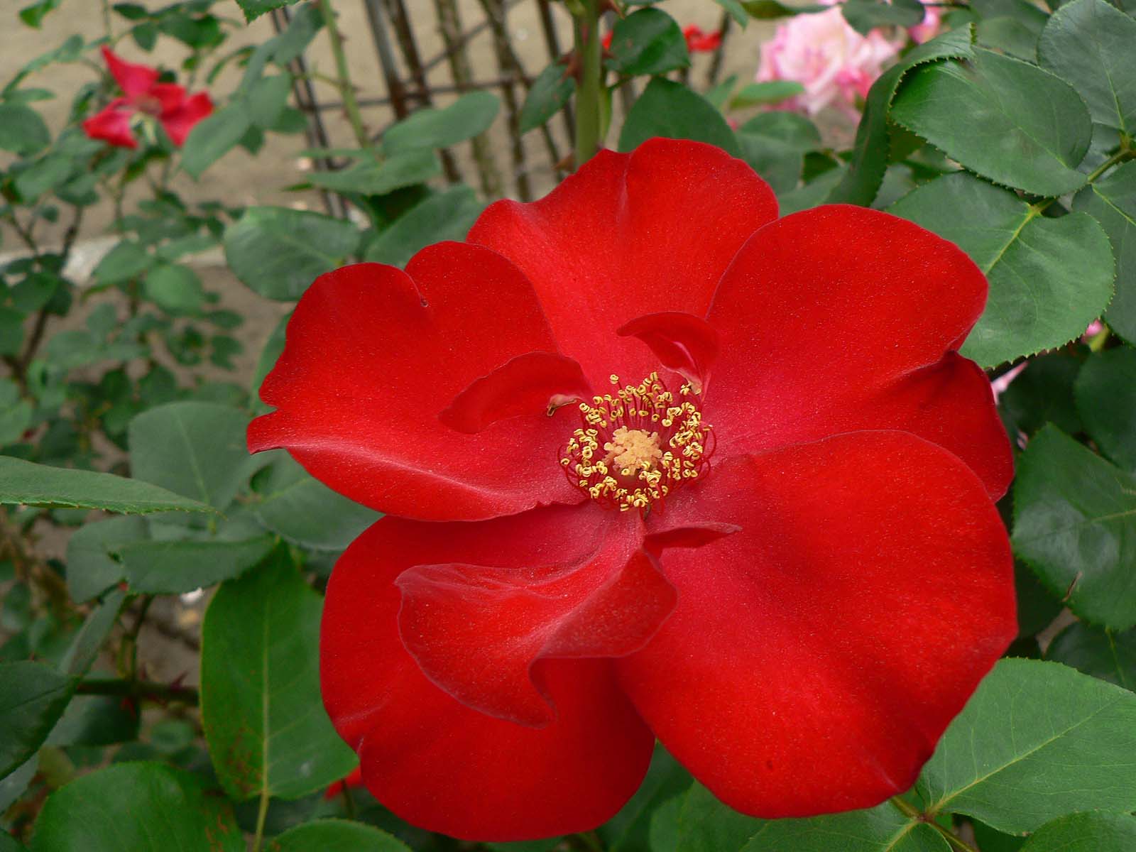 a0245136_185354.jpg