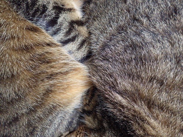 a0337237_13012852.jpg