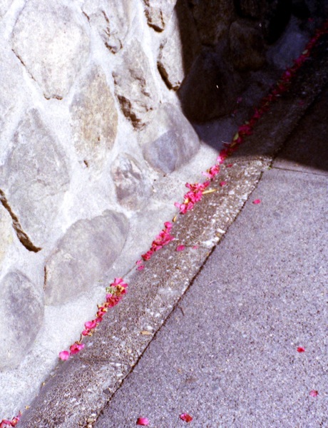 d0089742_22255372.jpg