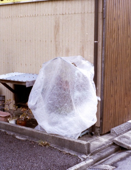 d0089742_22305075.jpg