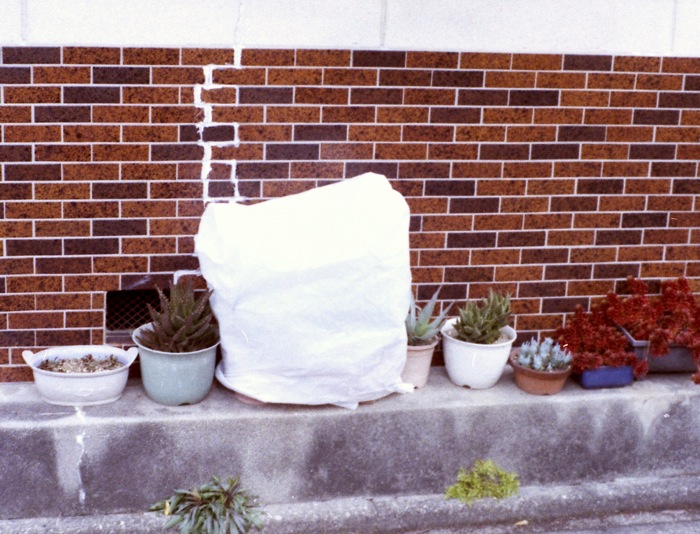 d0089742_2231172.jpg