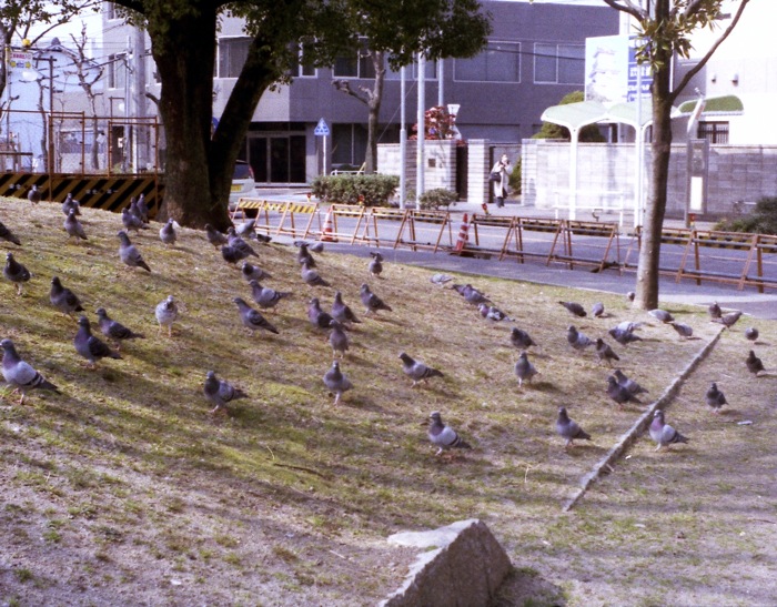 d0089742_2233045.jpg