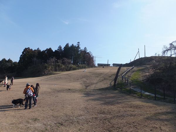 a0130451_20431189.jpg
