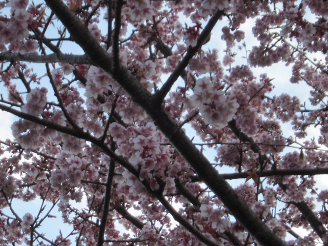 c0220154_2228115.jpg