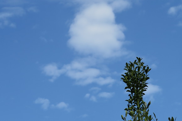 e0292172_20403379.jpg