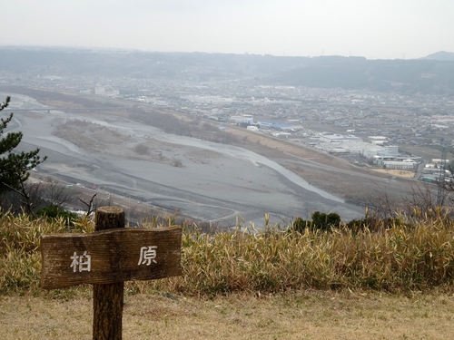 d0212491_1842984.jpg