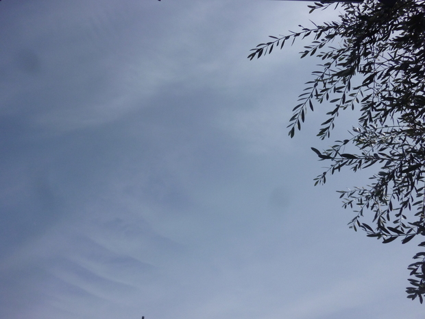 d0333091_18314212.jpg