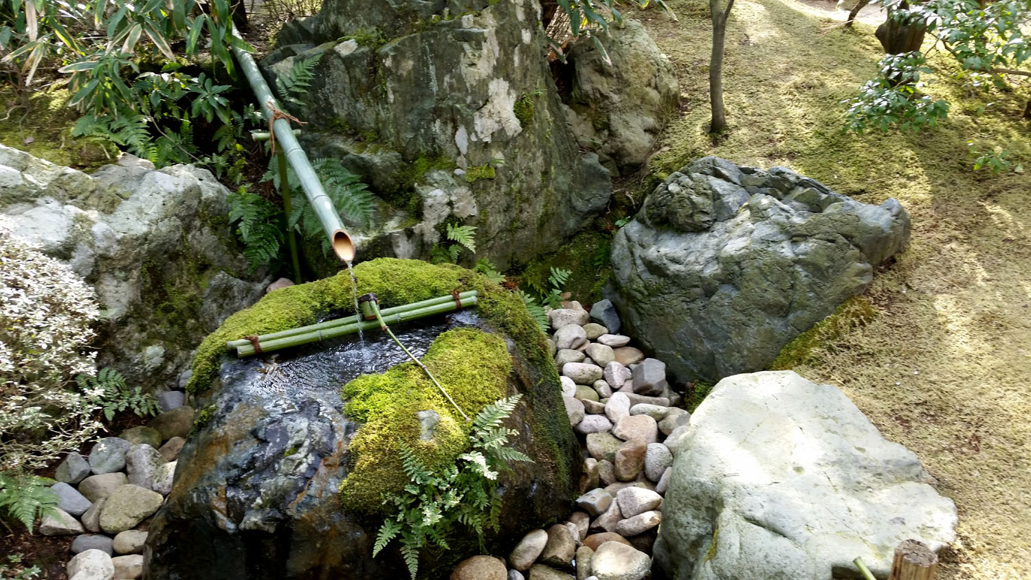 f0310010_2154913.jpg