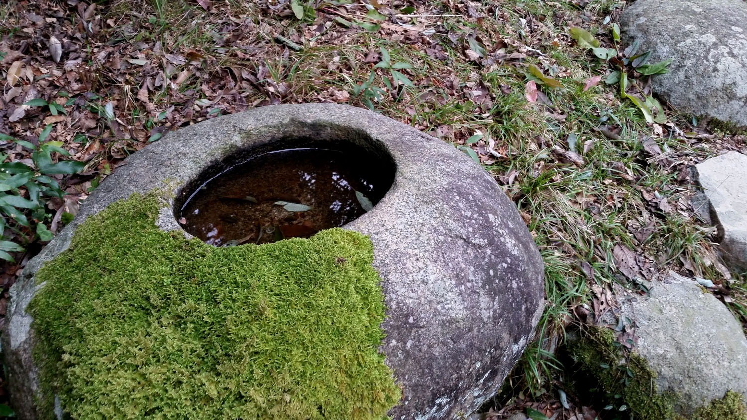 f0310010_2155856.jpg