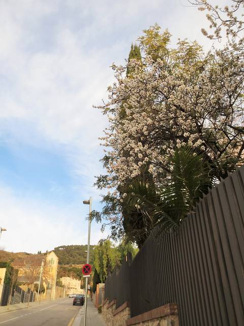 b0064411_08084130.jpg